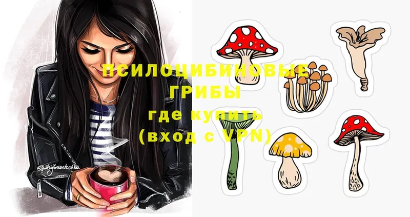 Псилоцибиновые грибы Psilocybe  Вольск 